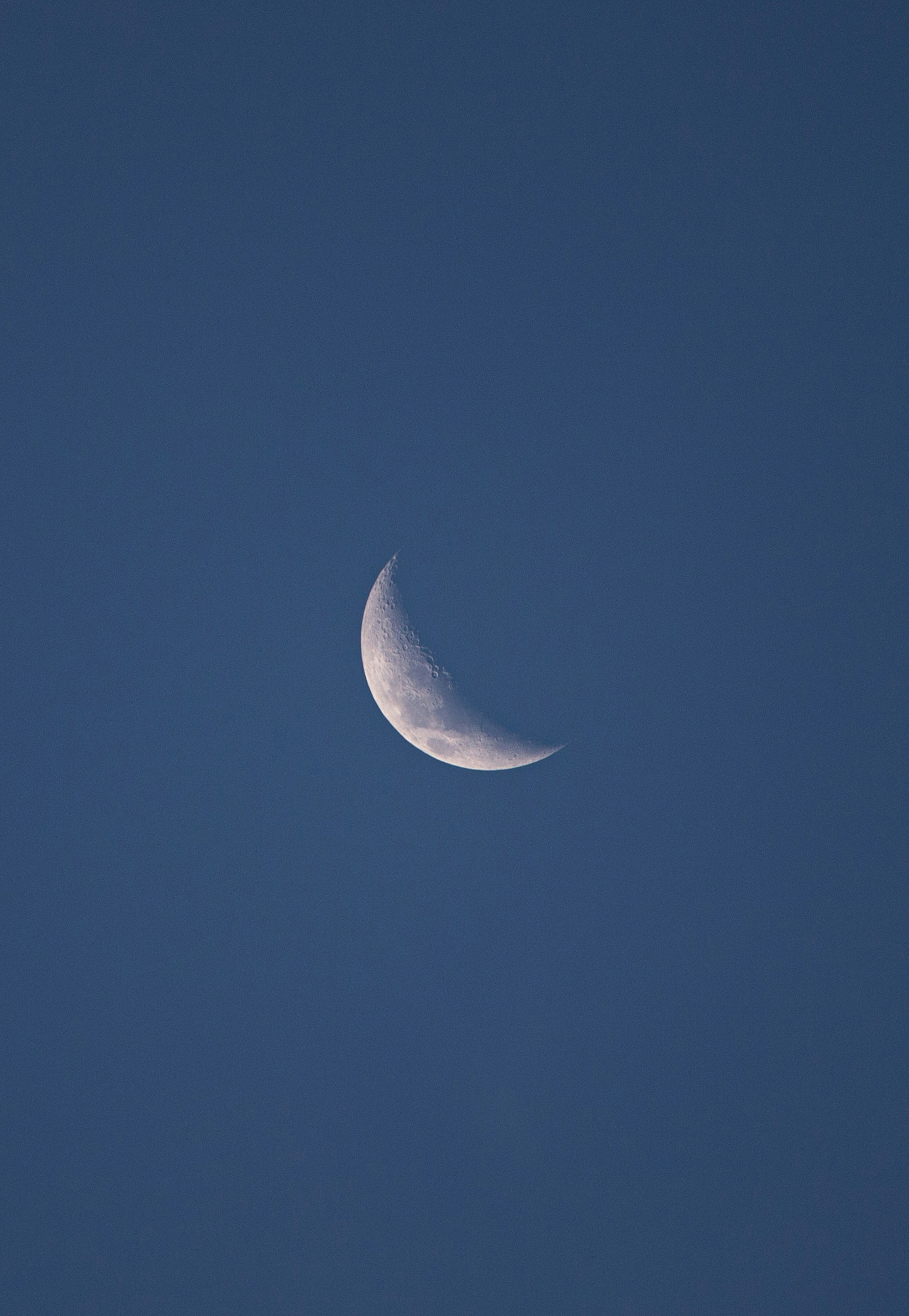 Photo by vinomamba24