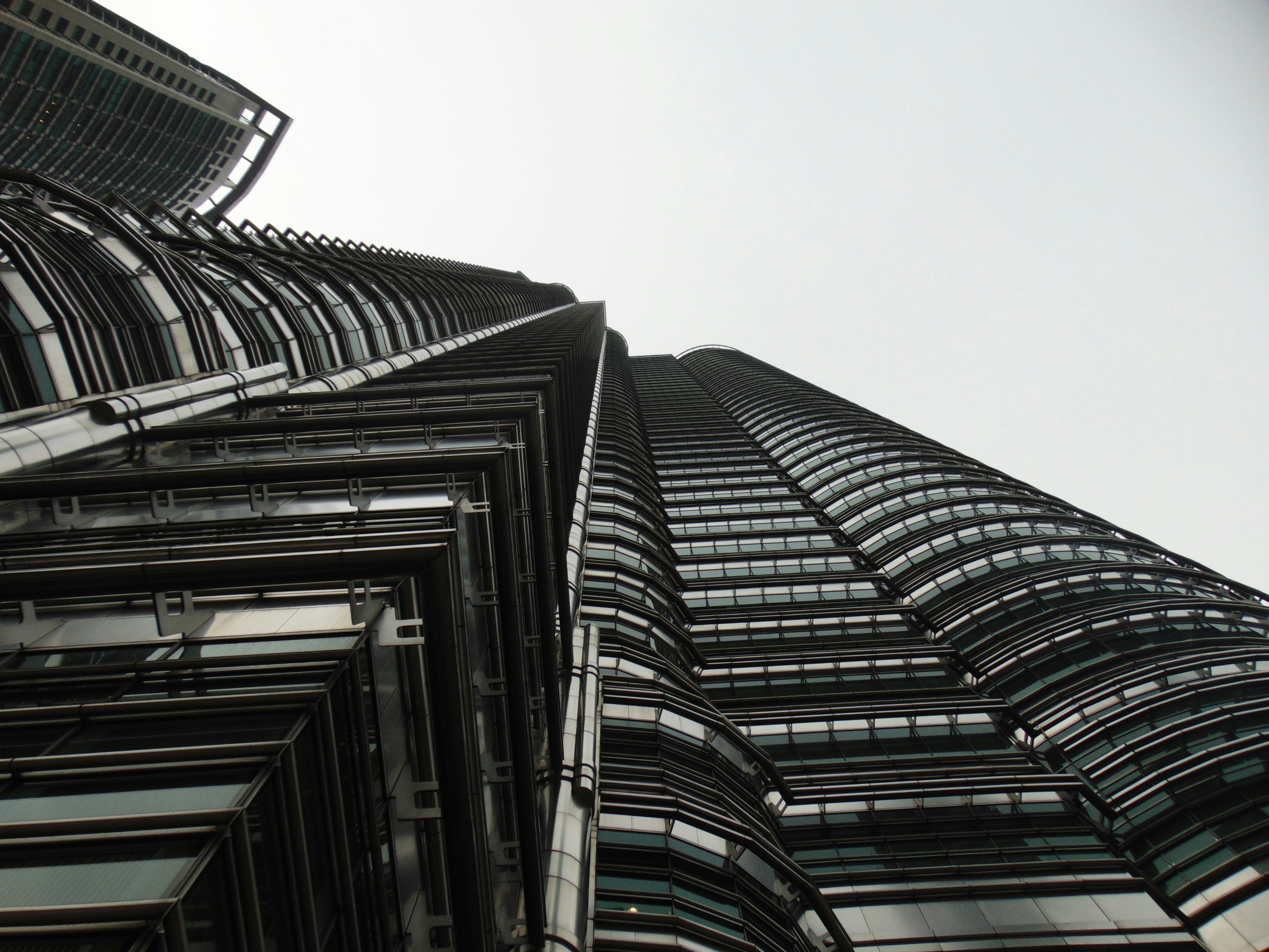 Photo by krishnaagrawal6