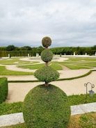 A meticulously maintained garden with topiary art featuring a large, geometric shrub in the foreground sculpted into a series of stacked spheres. The background showcases a vast, landscaped garden with symmetrical paths and trimmed hedges, surrounded by a dense line of trees. The sky is overcast, indicating a cloudy day.