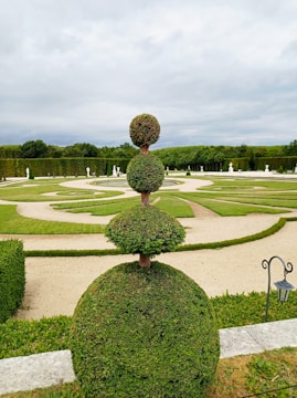 A meticulously maintained garden with topiary art featuring a large, geometric shrub in the foreground sculpted into a series of stacked spheres. The background showcases a vast, landscaped garden with symmetrical paths and trimmed hedges, surrounded by a dense line of trees. The sky is overcast, indicating a cloudy day.