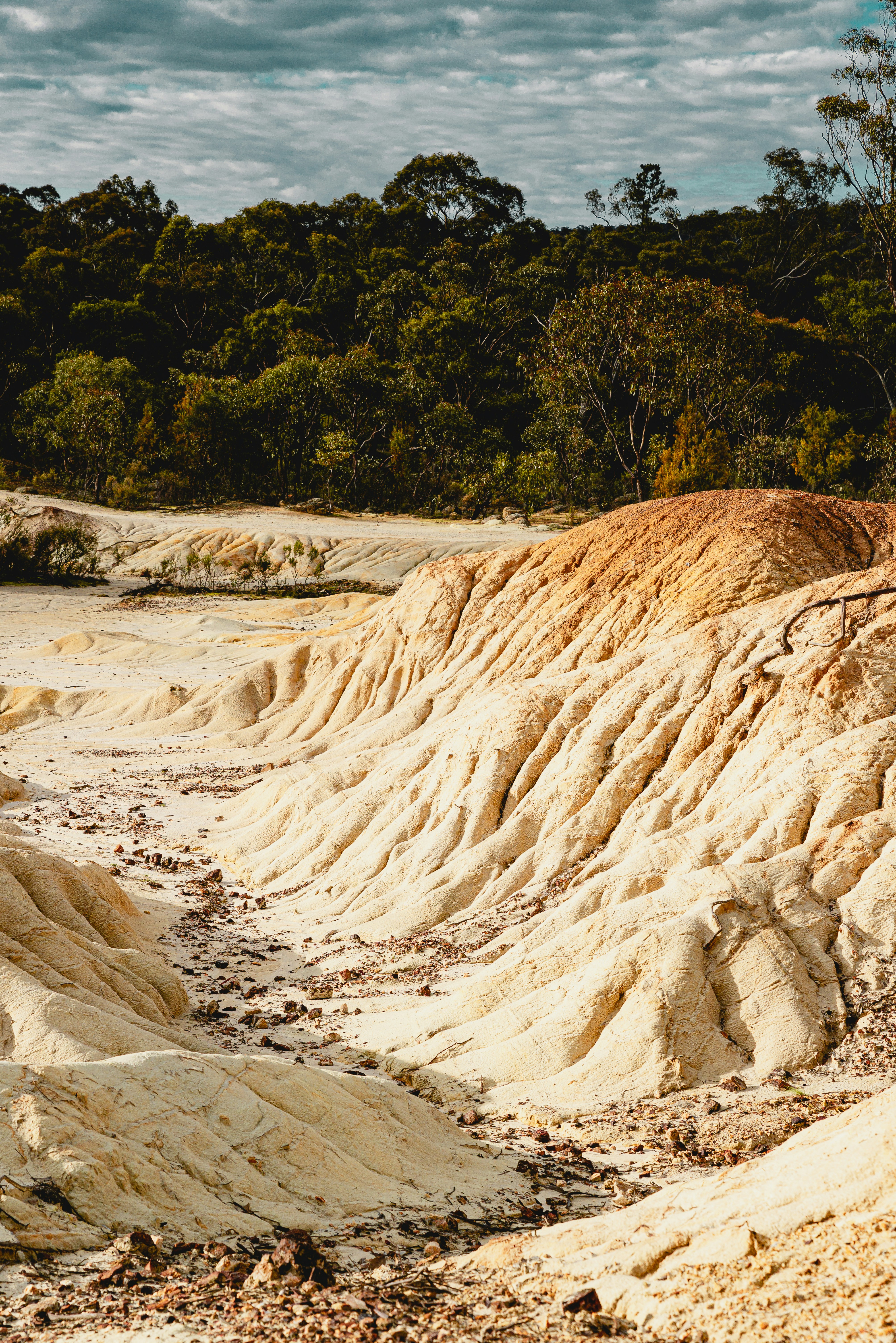 brown rocky mountain near green trees during daytime