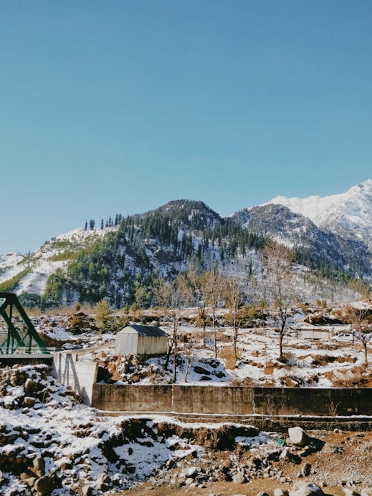 white and brown houses near green trees and mountain during daytime in Kullu India