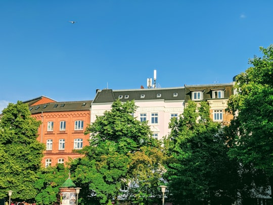 brown and white concrete building near green trees under blue sky during daytime in Hamburg-Neustadt Germany