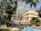 A hotel courtyard with a blend of natural and architectural elements, including a swimming pool in the foreground, surrounded by lush green trees and a yellow multi-story building in the background. There are wicker chairs and tables near the pool, under a canopy. Palm trees and other tropical plants add to the serene environment.