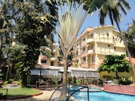 A hotel courtyard with a blend of natural and architectural elements, including a swimming pool in the foreground, surrounded by lush green trees and a yellow multi-story building in the background. There are wicker chairs and tables near the pool, under a canopy. Palm trees and other tropical plants add to the serene environment.