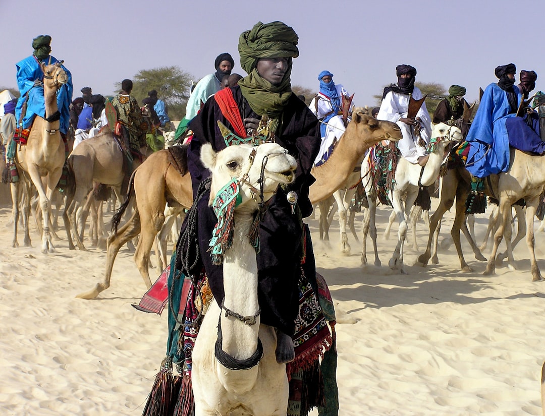 people riding horses on brown sand during daytime