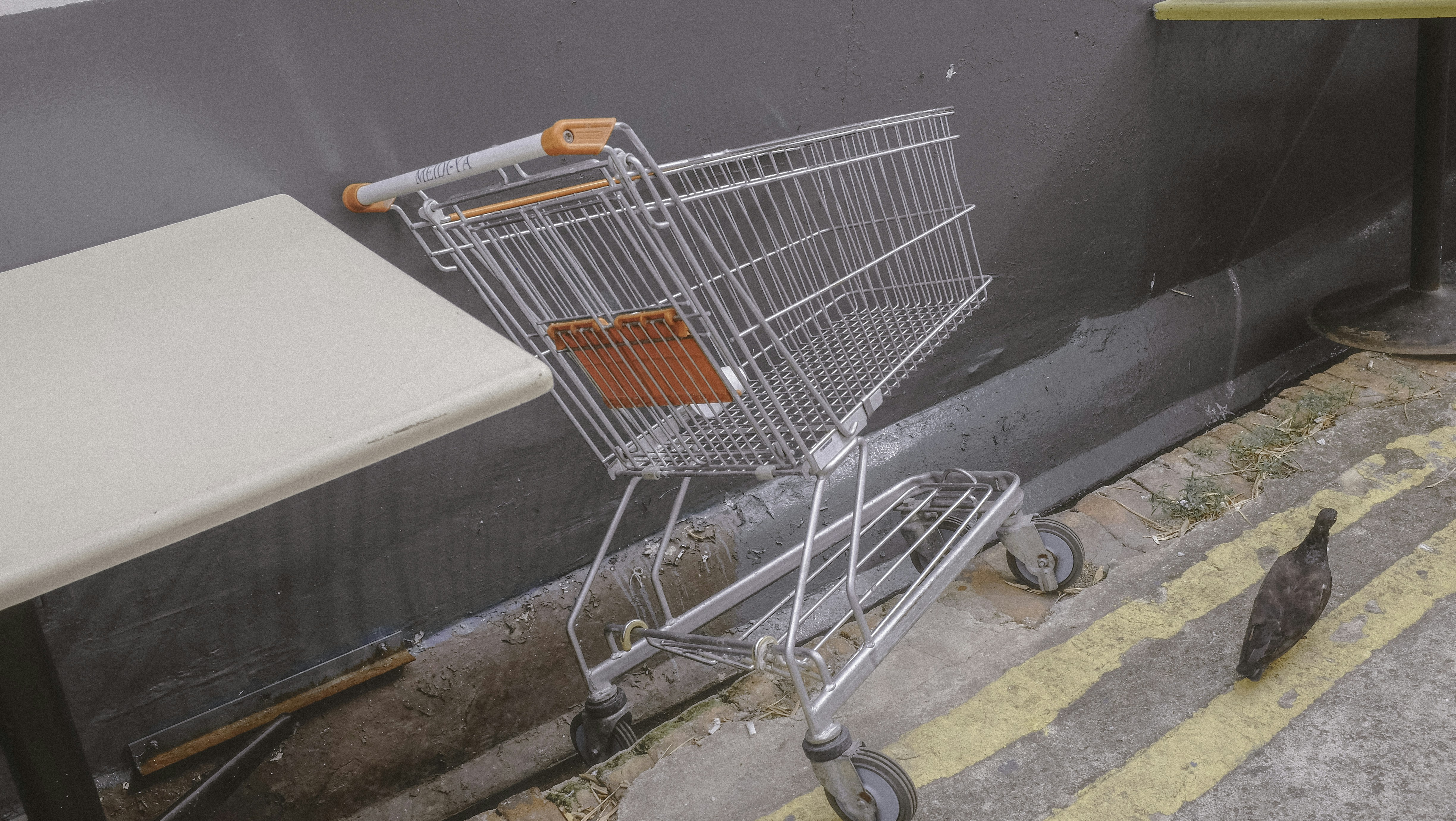 Stainless steel shopping cart