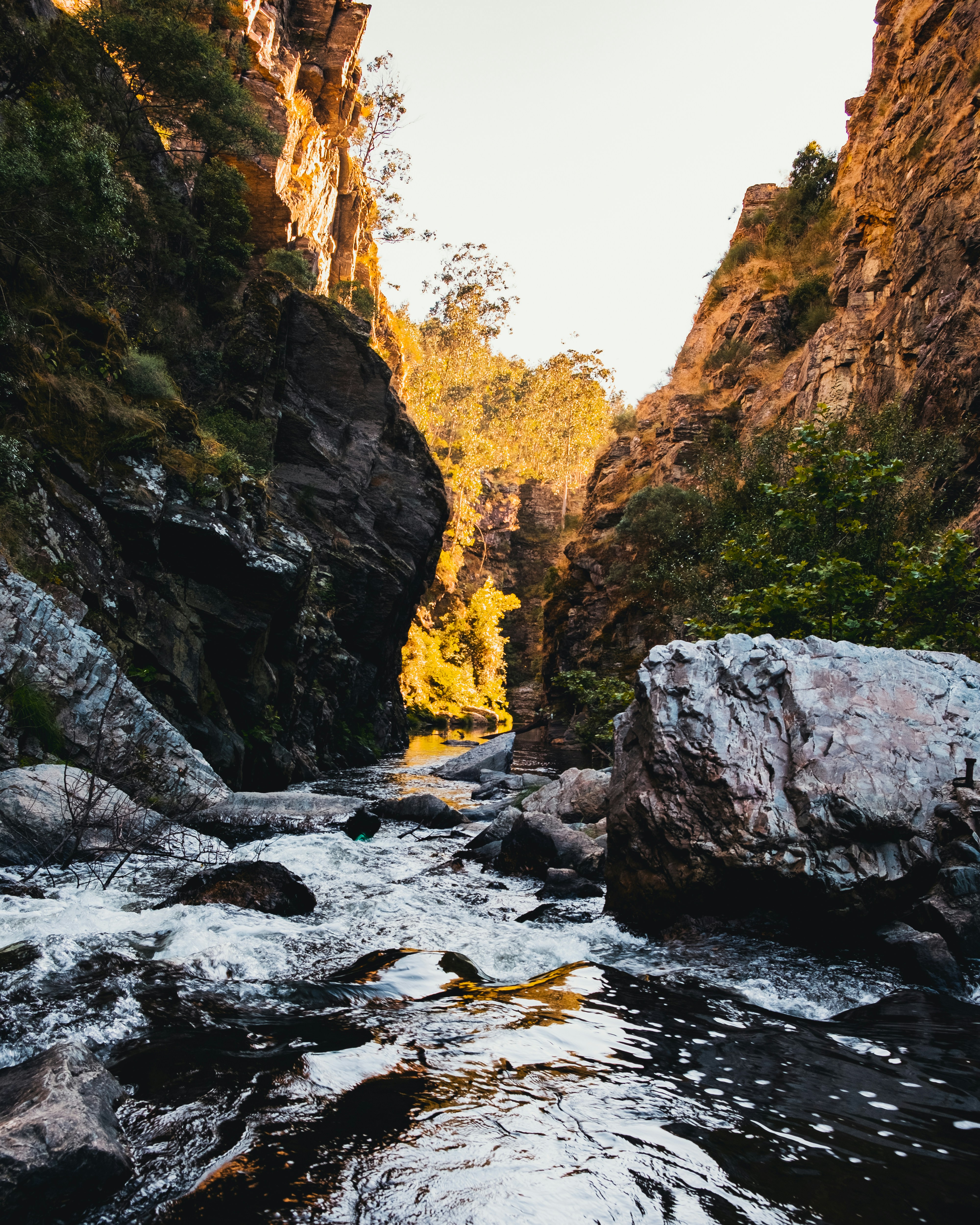 Photo by natanaelvieir