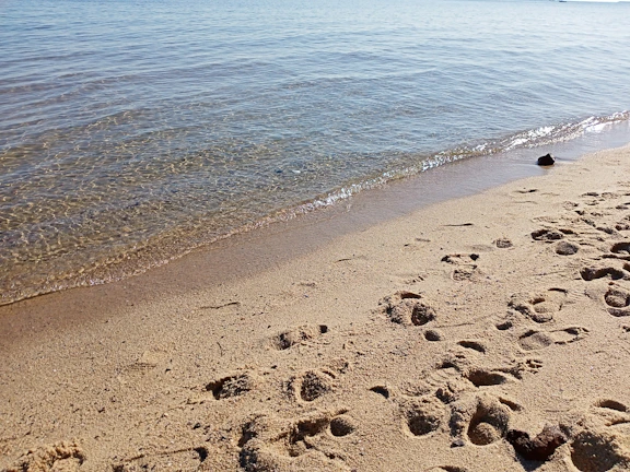 Golden sandy beach just steps from the guesthouse, waves gently rolling in.