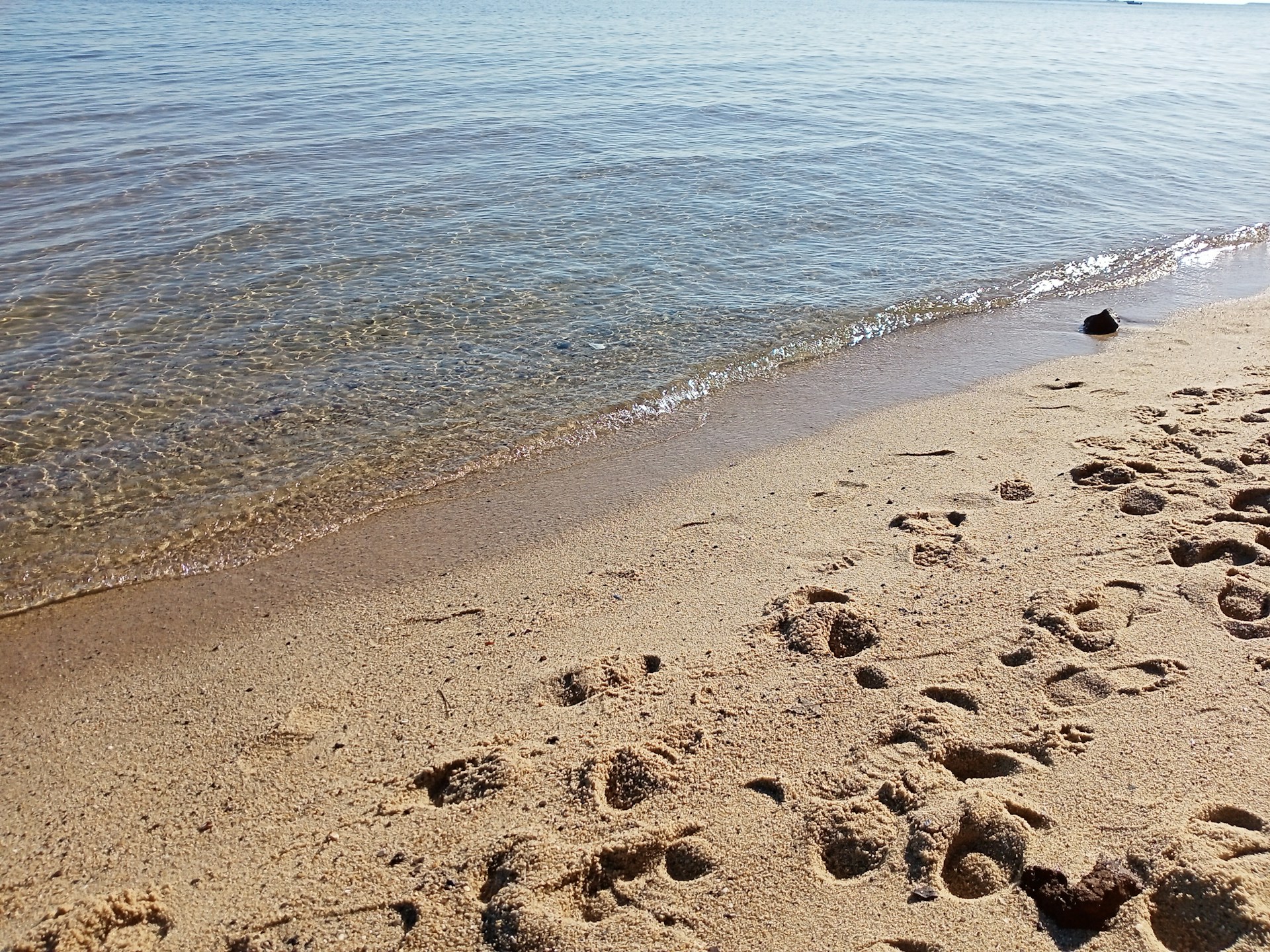 Private sandy beach at La Biodola accessed directly from Villa Grazia with comfortable sun loungers and calm waves.