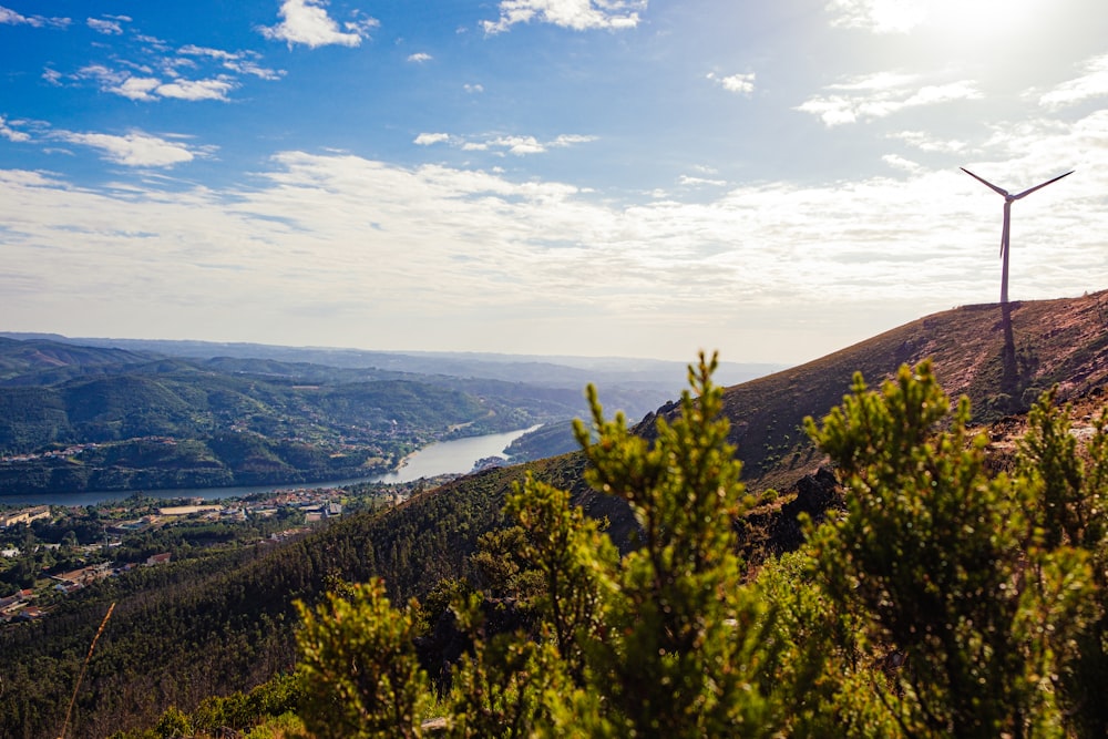 green trees on mountain under blue sky during daytime