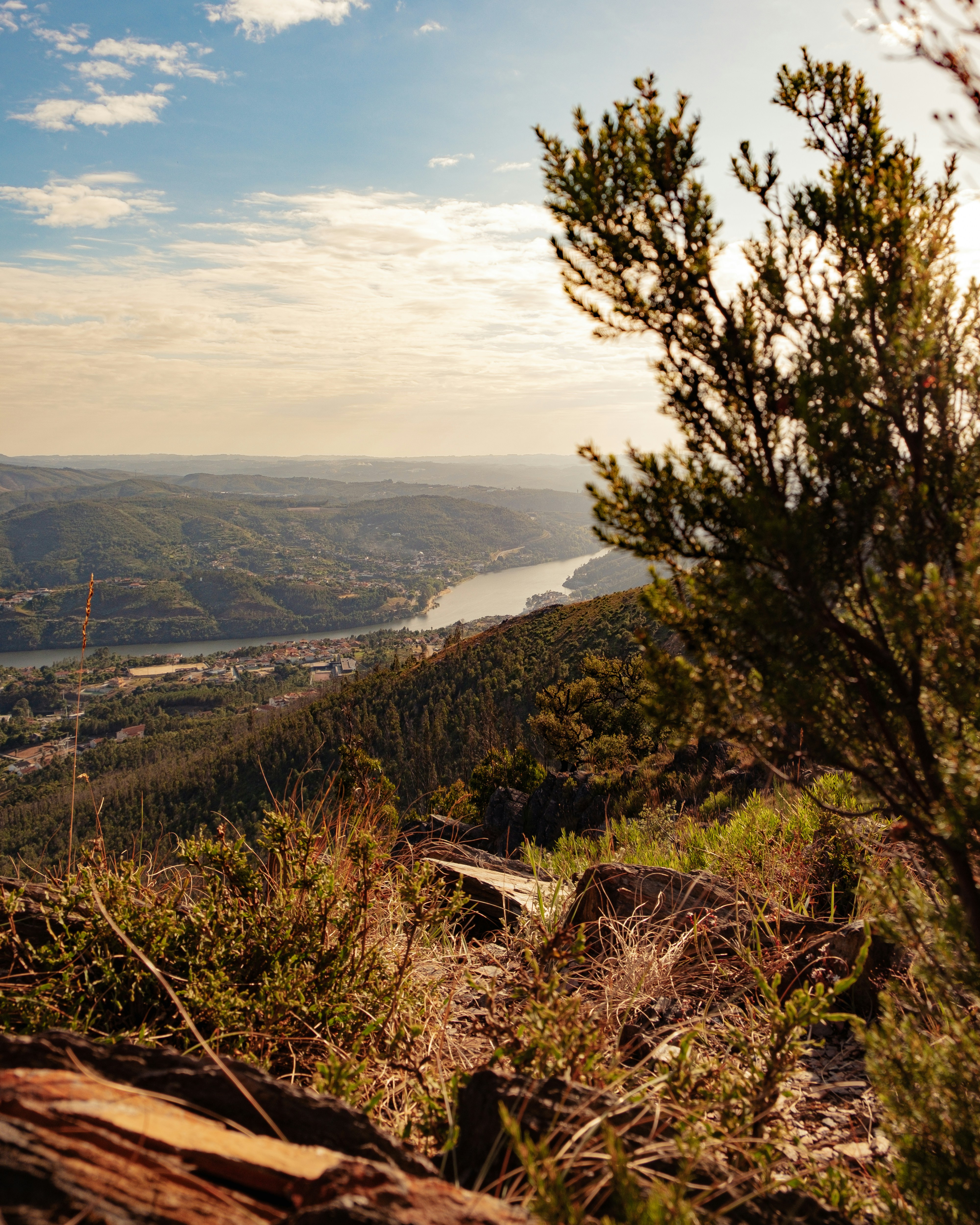 Photo by natanaelvieir