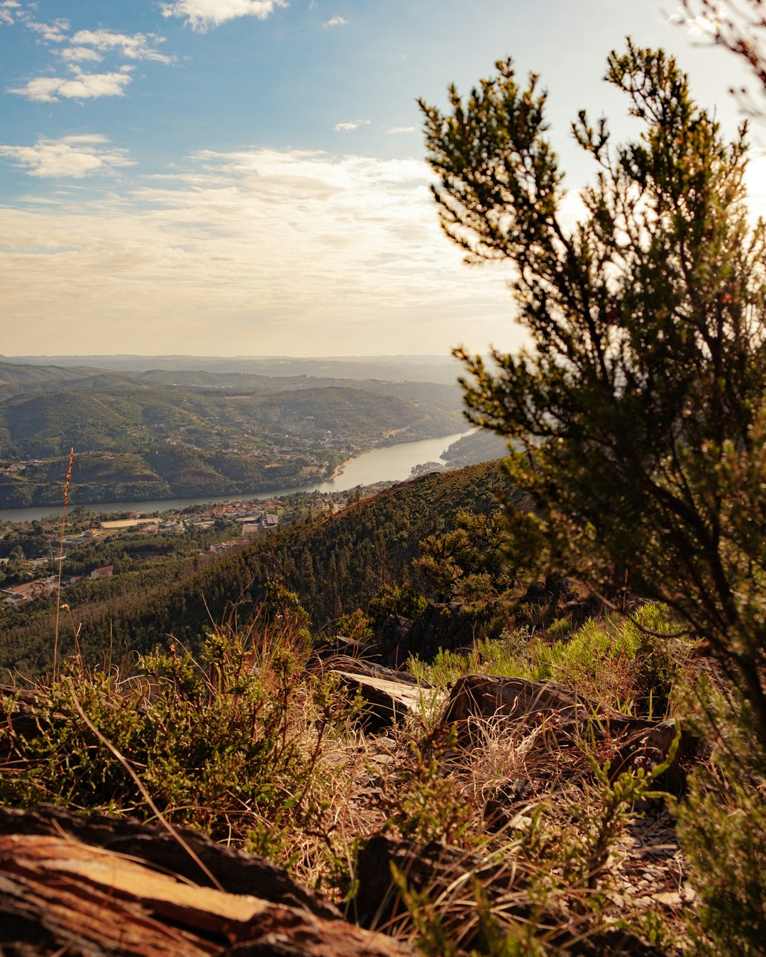 Hill photo spot Serra da Boneca Douro