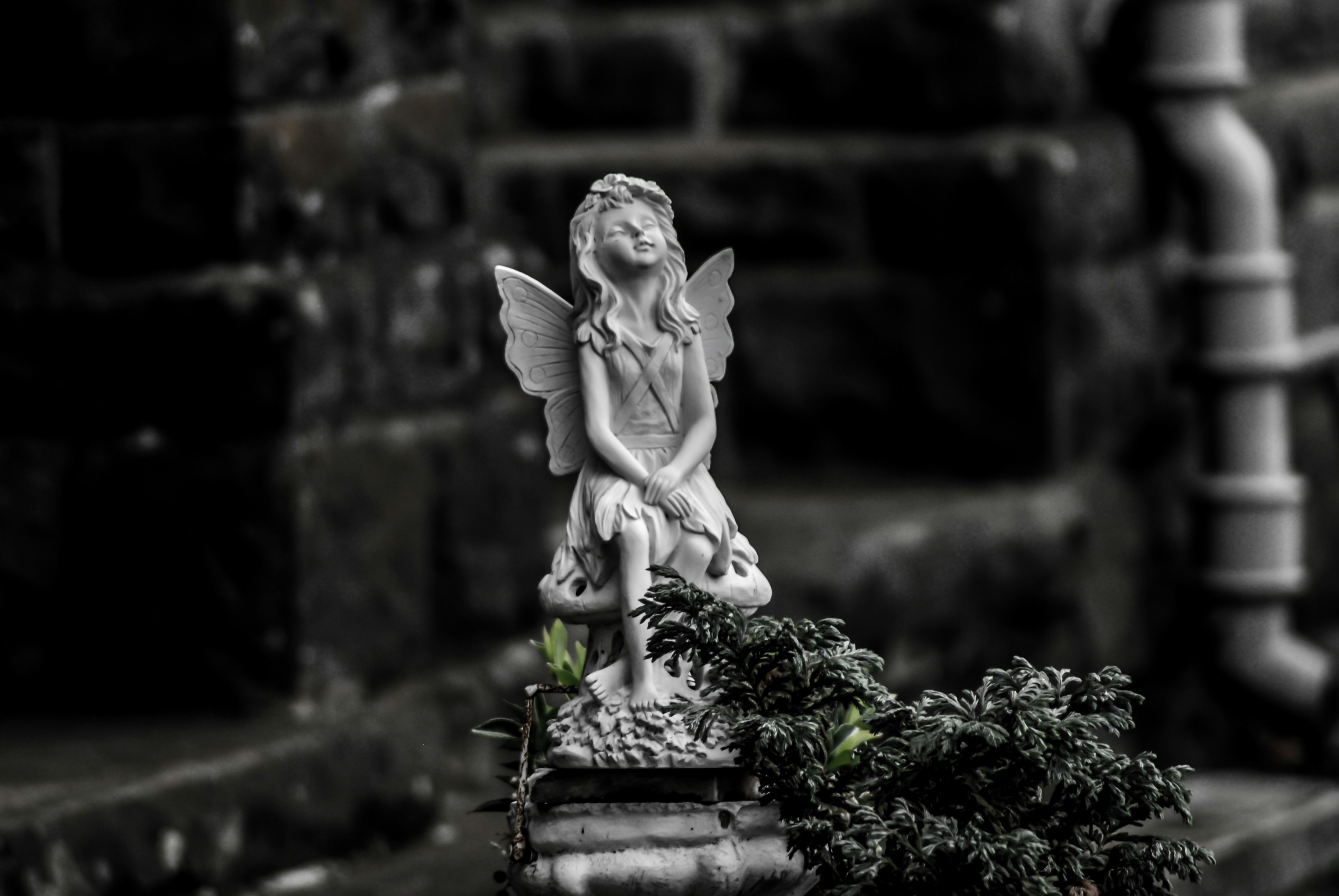 Steampunk Fairy Portal