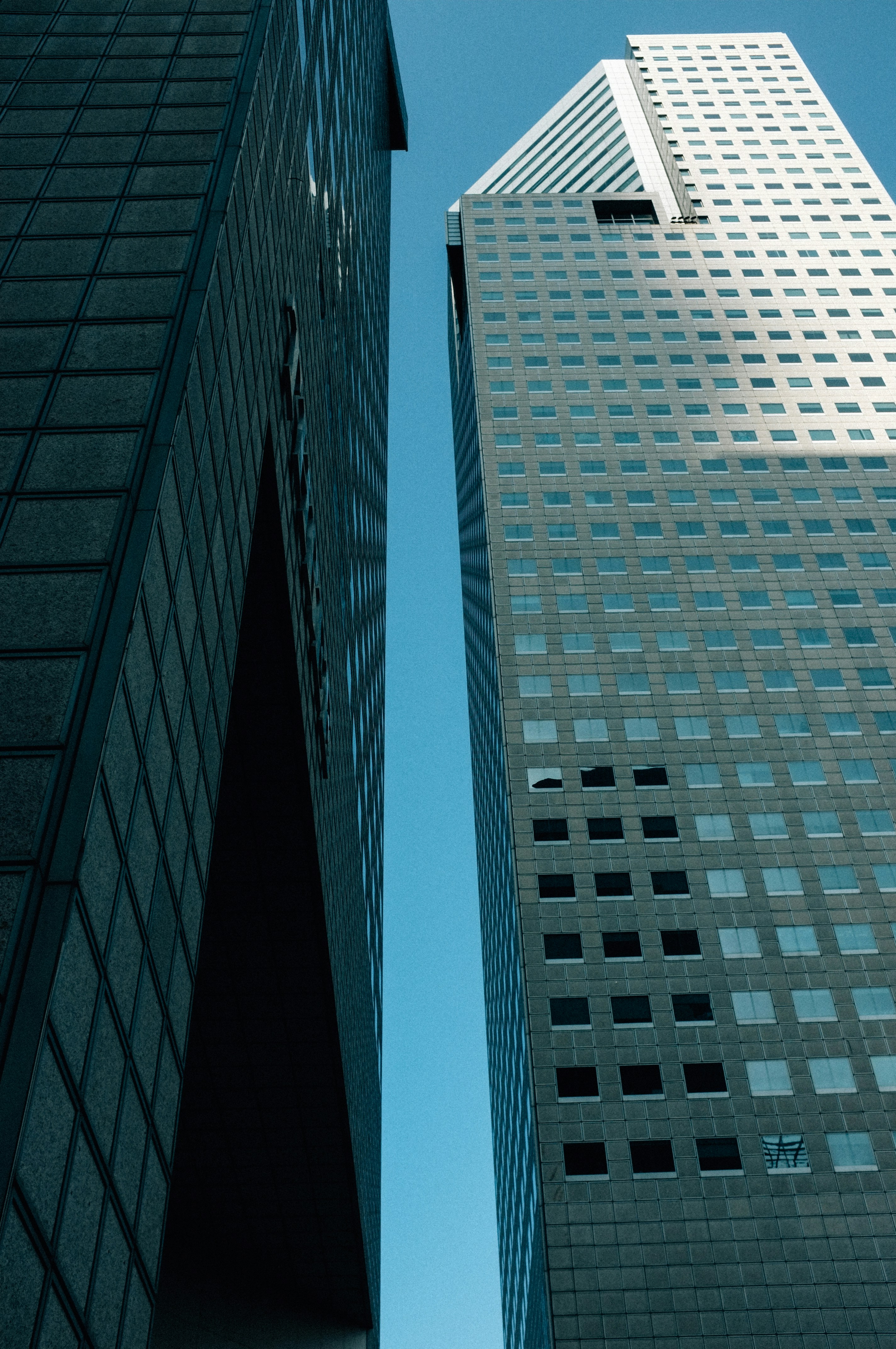 Photo by arifinsalleh