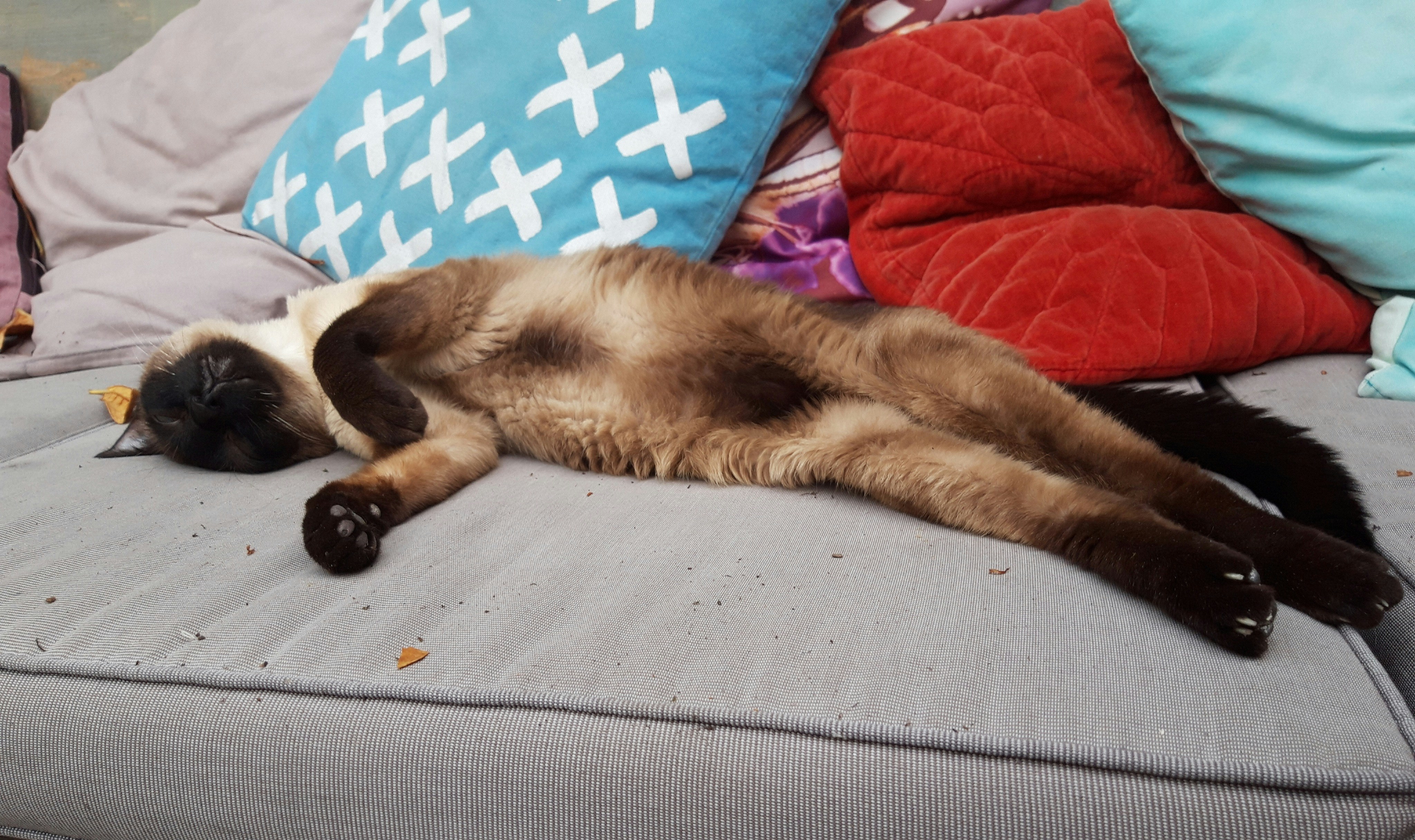 Afbeelding van Leusden