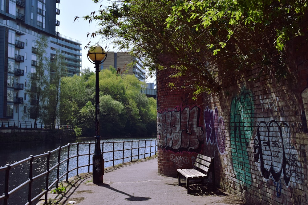 brown wooden bench beside green tree near body of water during daytime