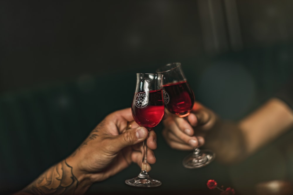 person holding clear wine glass with red wine