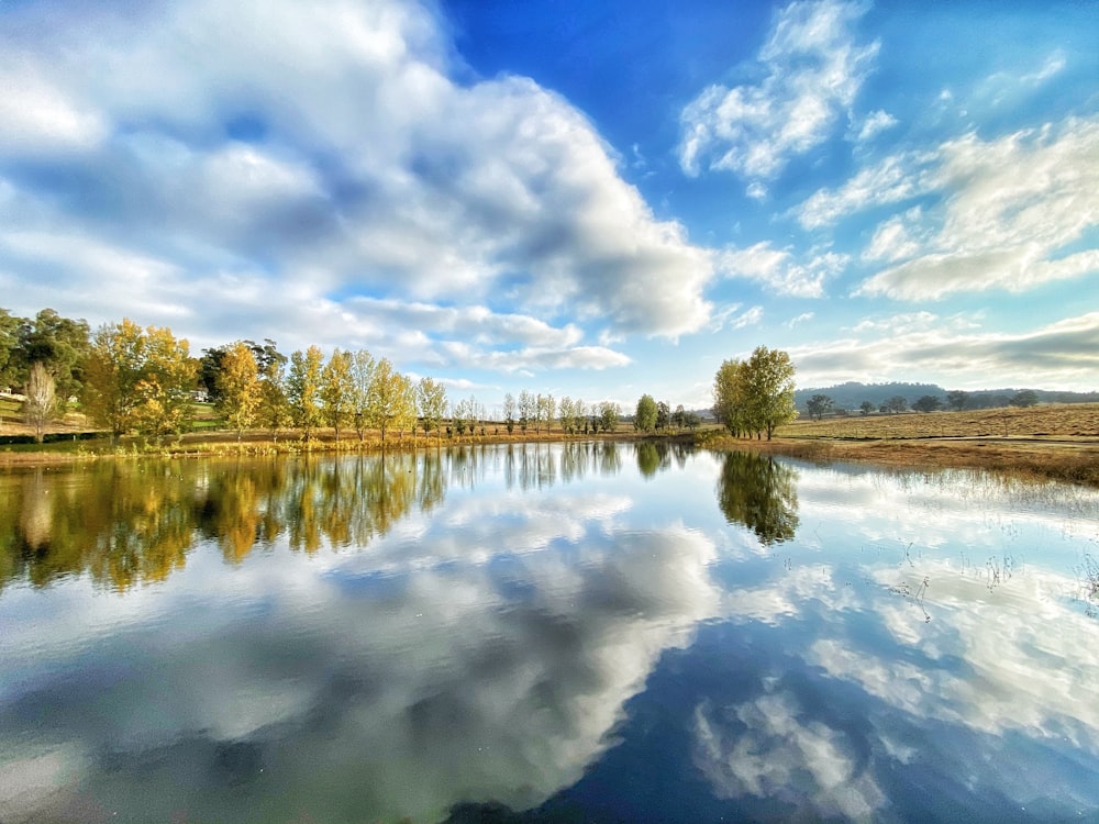 green trees beside lake under blue sky and white clouds during daytime