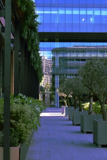 Modern pedestrian pathways surrounded by lush greenery and urban buildings.