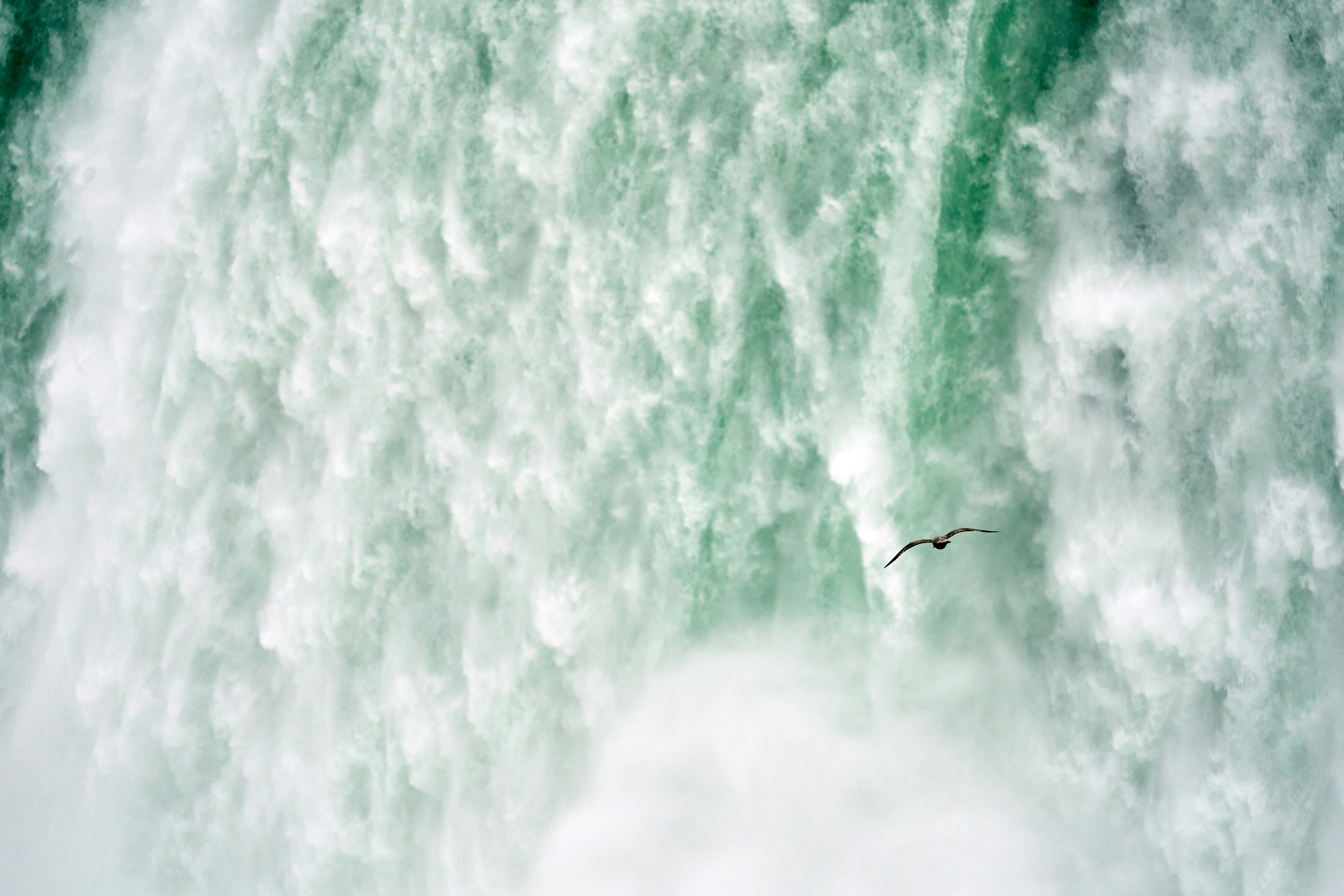 Photo by wolfgang_hasselmann