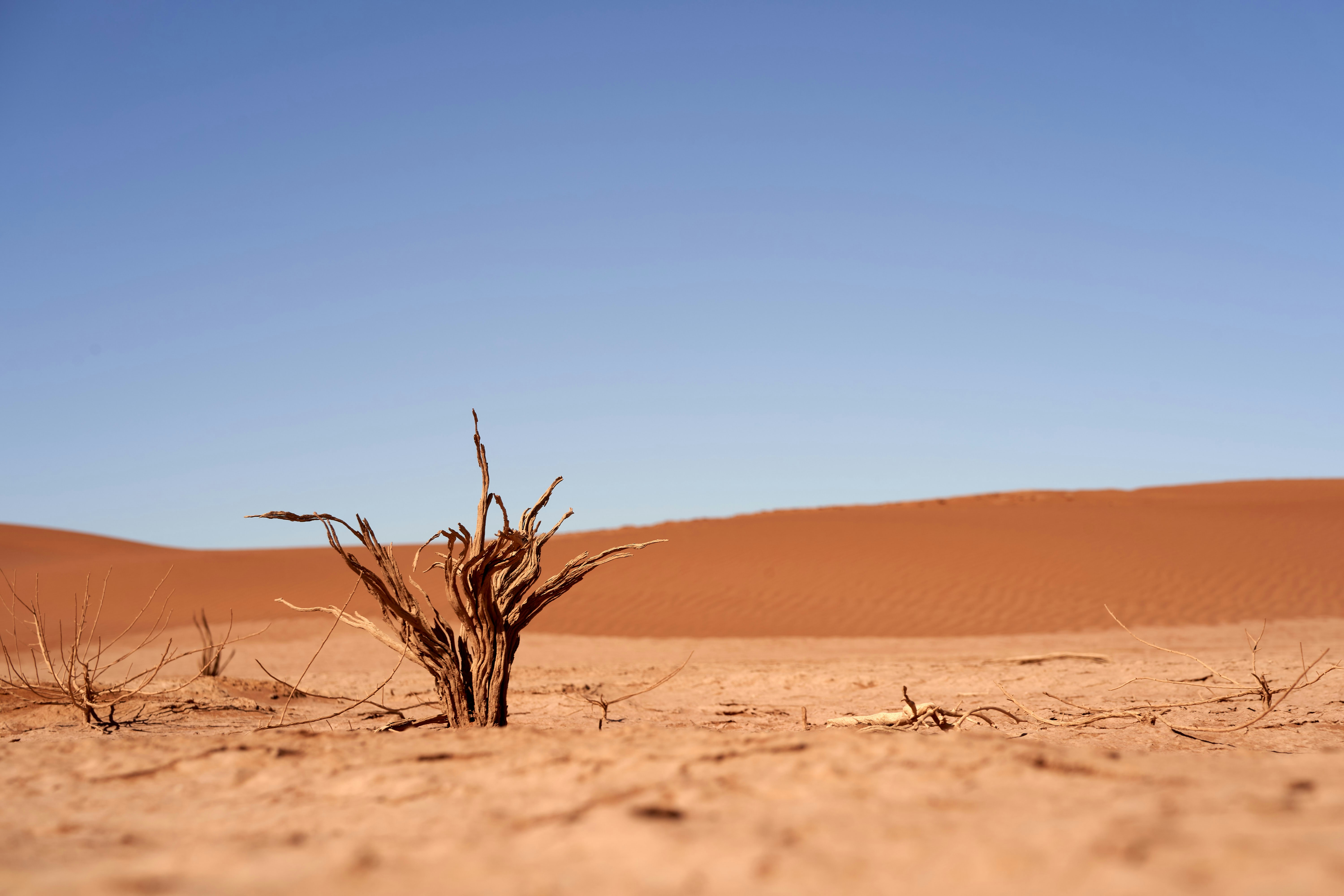 Scientific Uncertainty: What We Don't Know (image credits: unsplash)