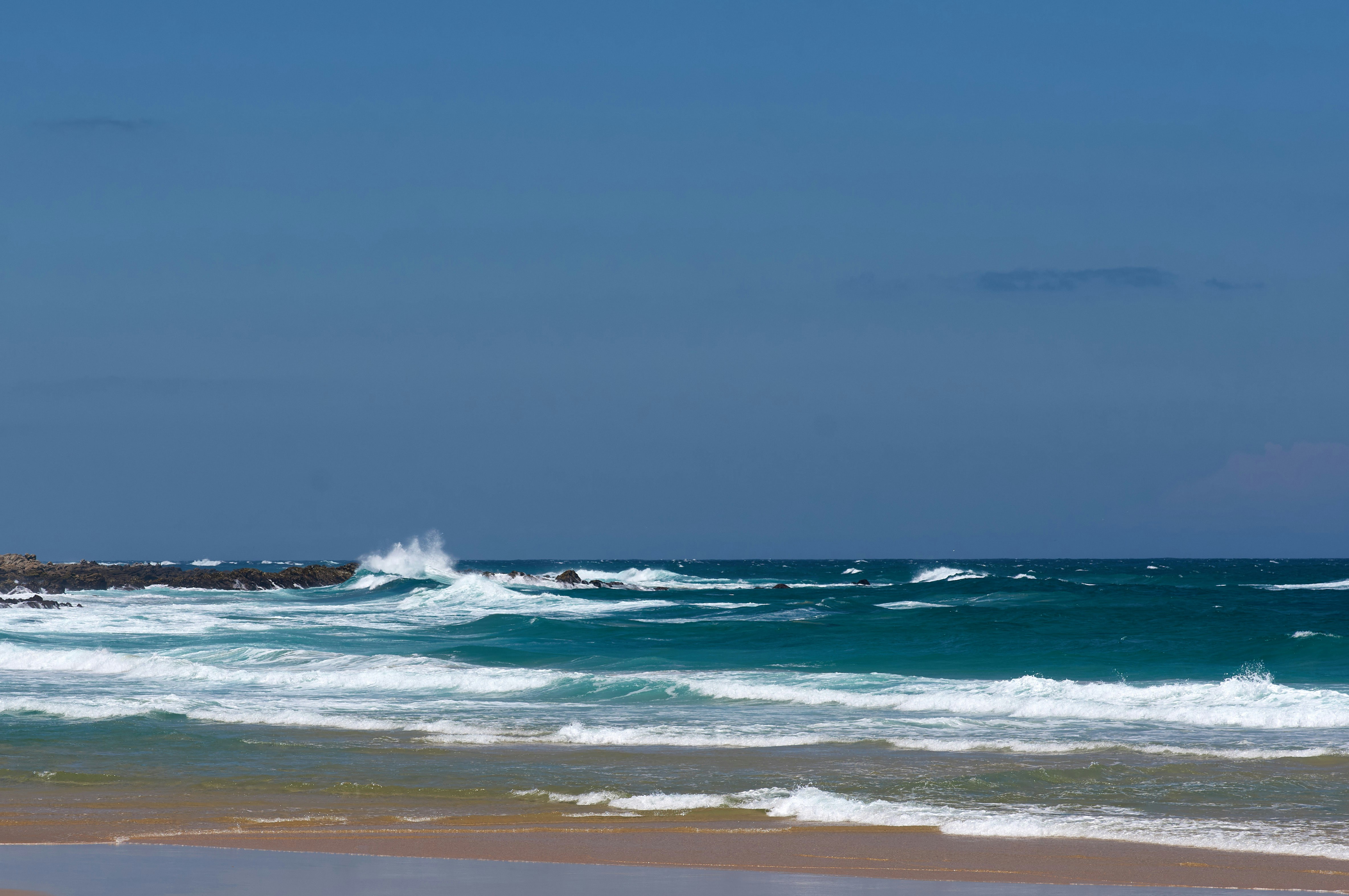 Photo by wolfgang_hasselmann