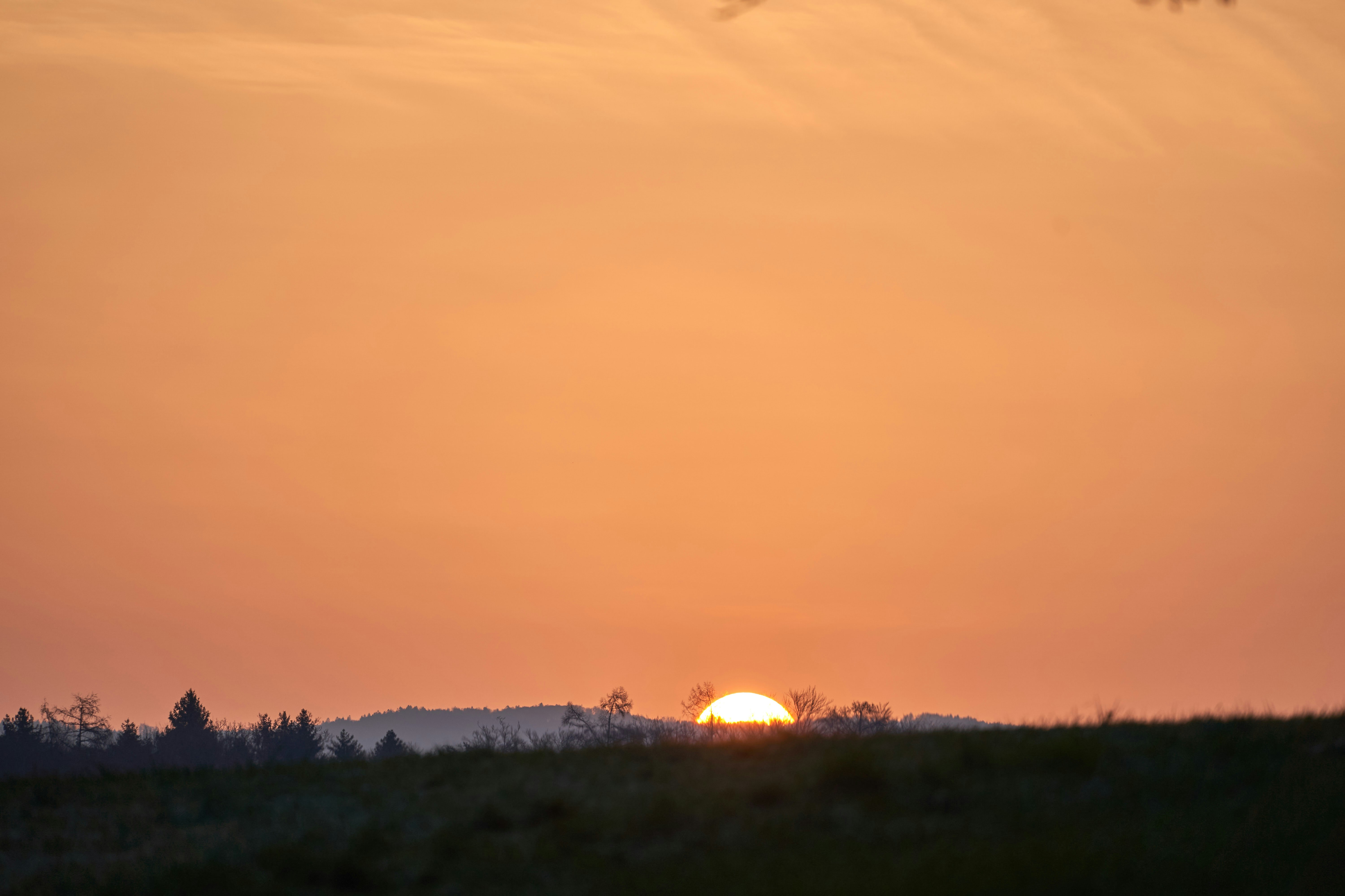 Photo by wolfgang_hasselmann