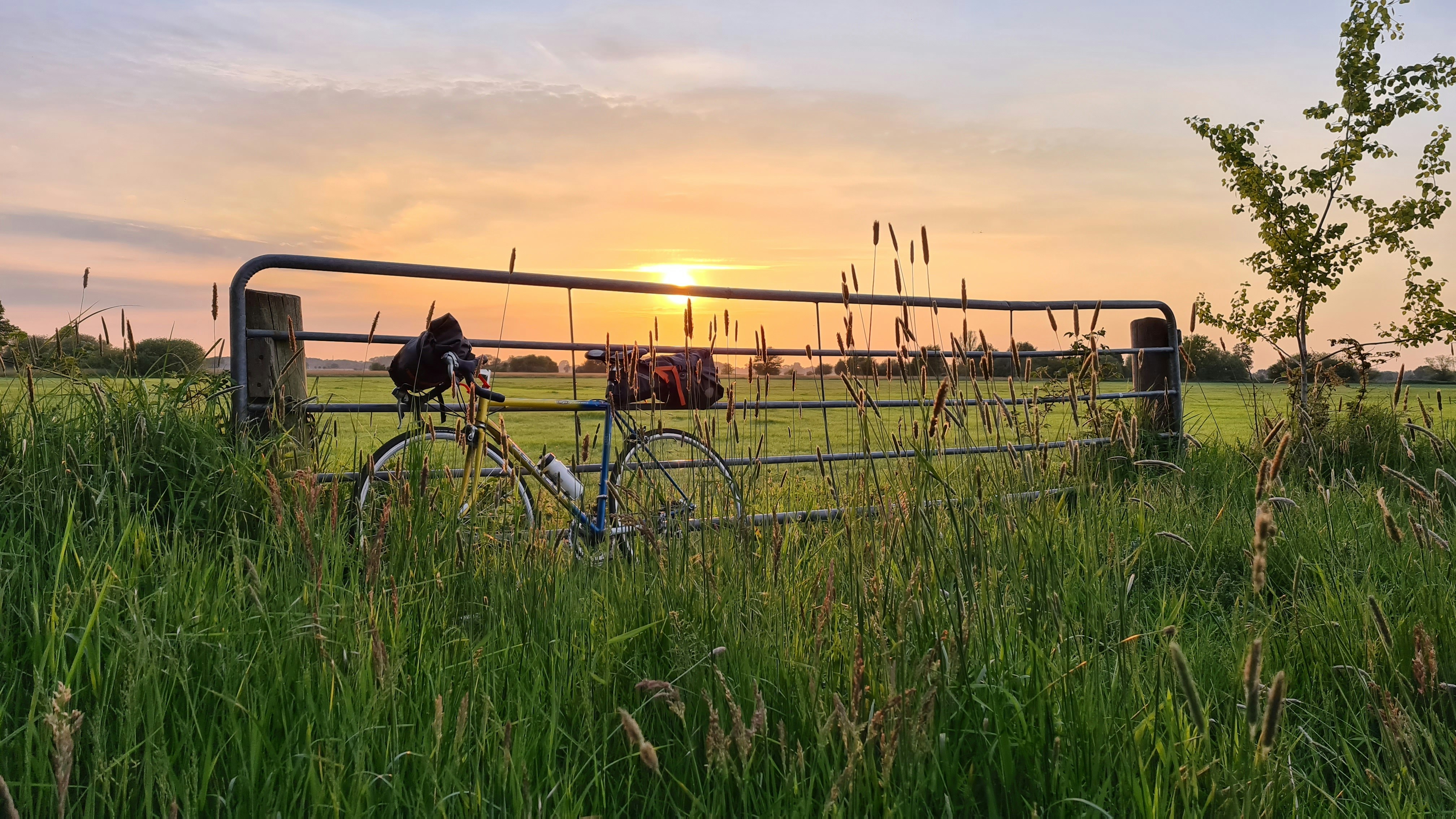 bicycle on green grass field during sunset