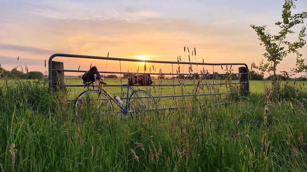 bicycle on green grass field during sunset