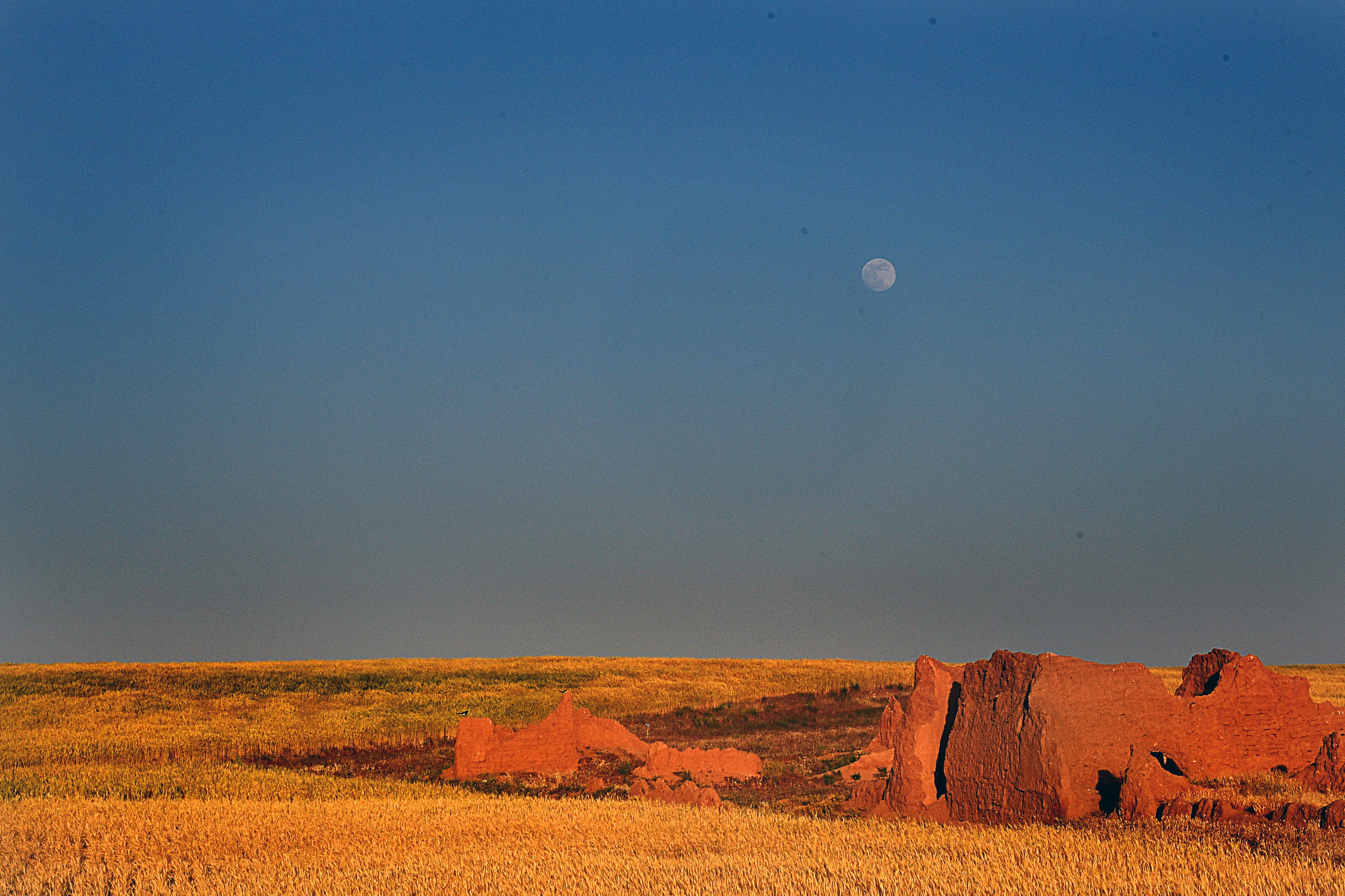 brown field under full moon