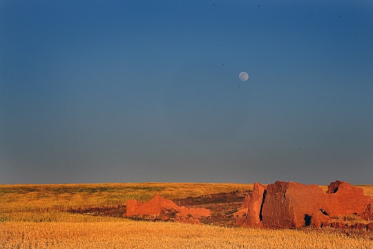 brown field under full moon in دستجرده، Markazi Province Iran