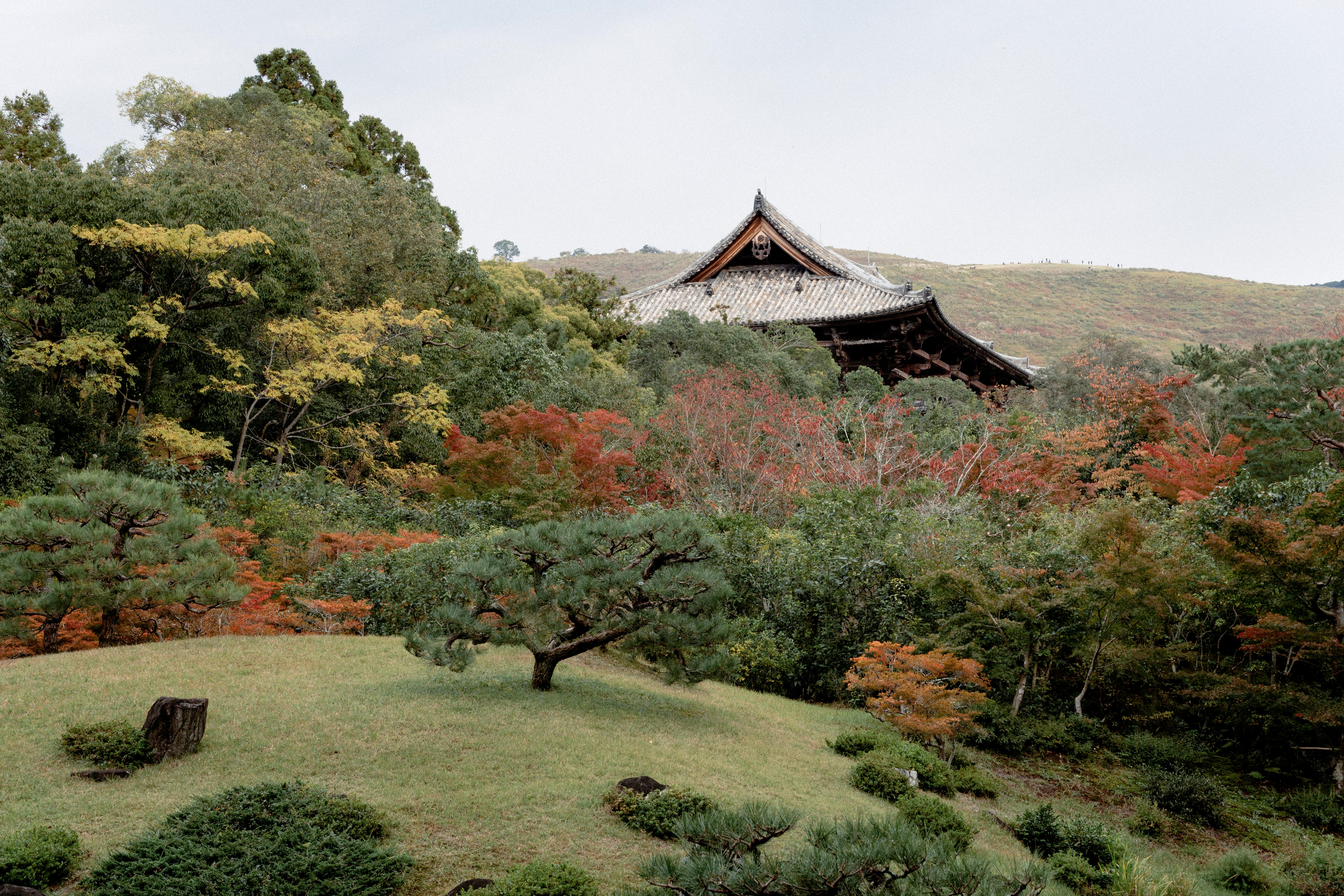 brown and white house surrounded by green trees