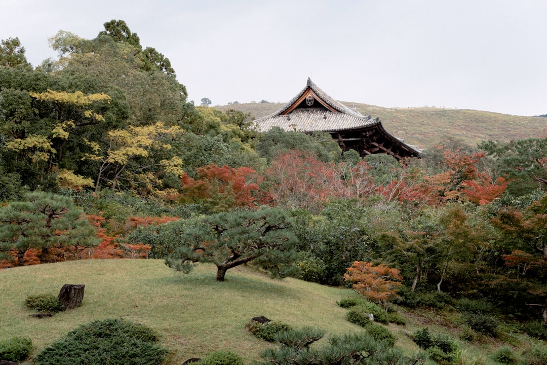 Hill station photo spot Isuien Garden Arashiyama