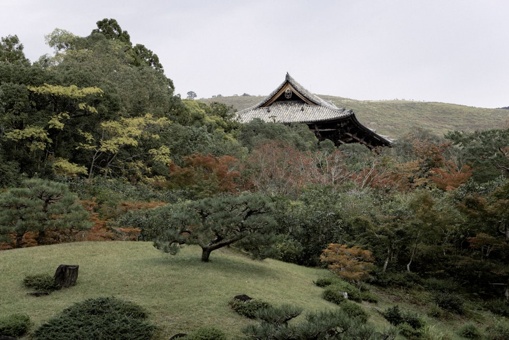 brown and white house surrounded by green trees