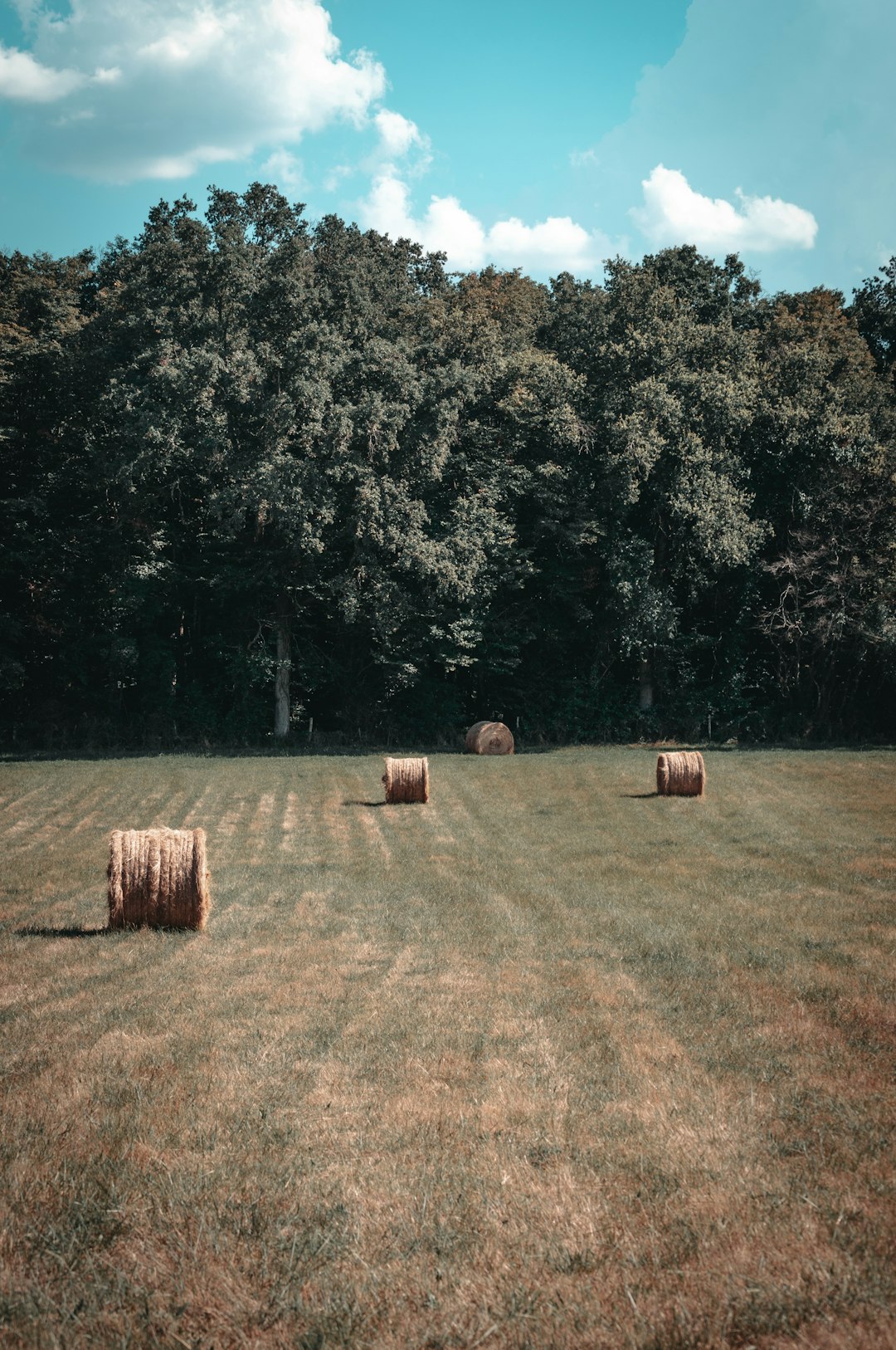 brown hays on brown field near green trees during daytime