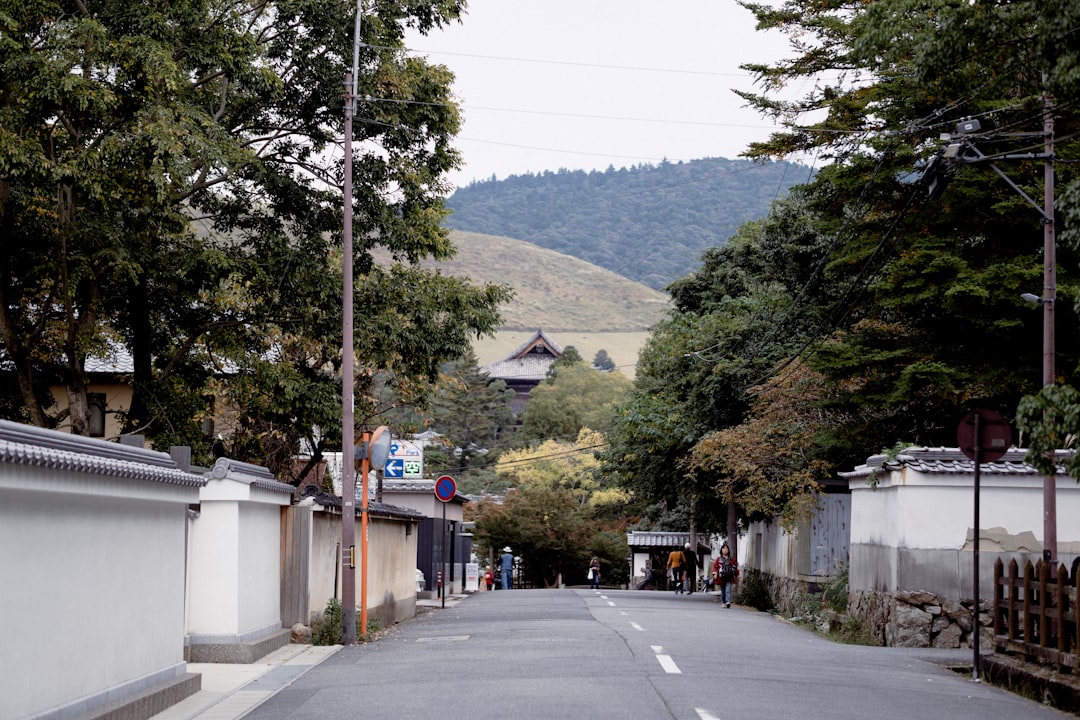 green trees near gray concrete road during daytime