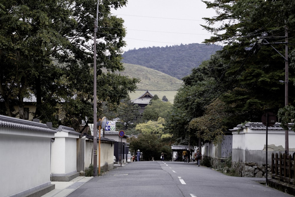 green trees near gray concrete road during daytime