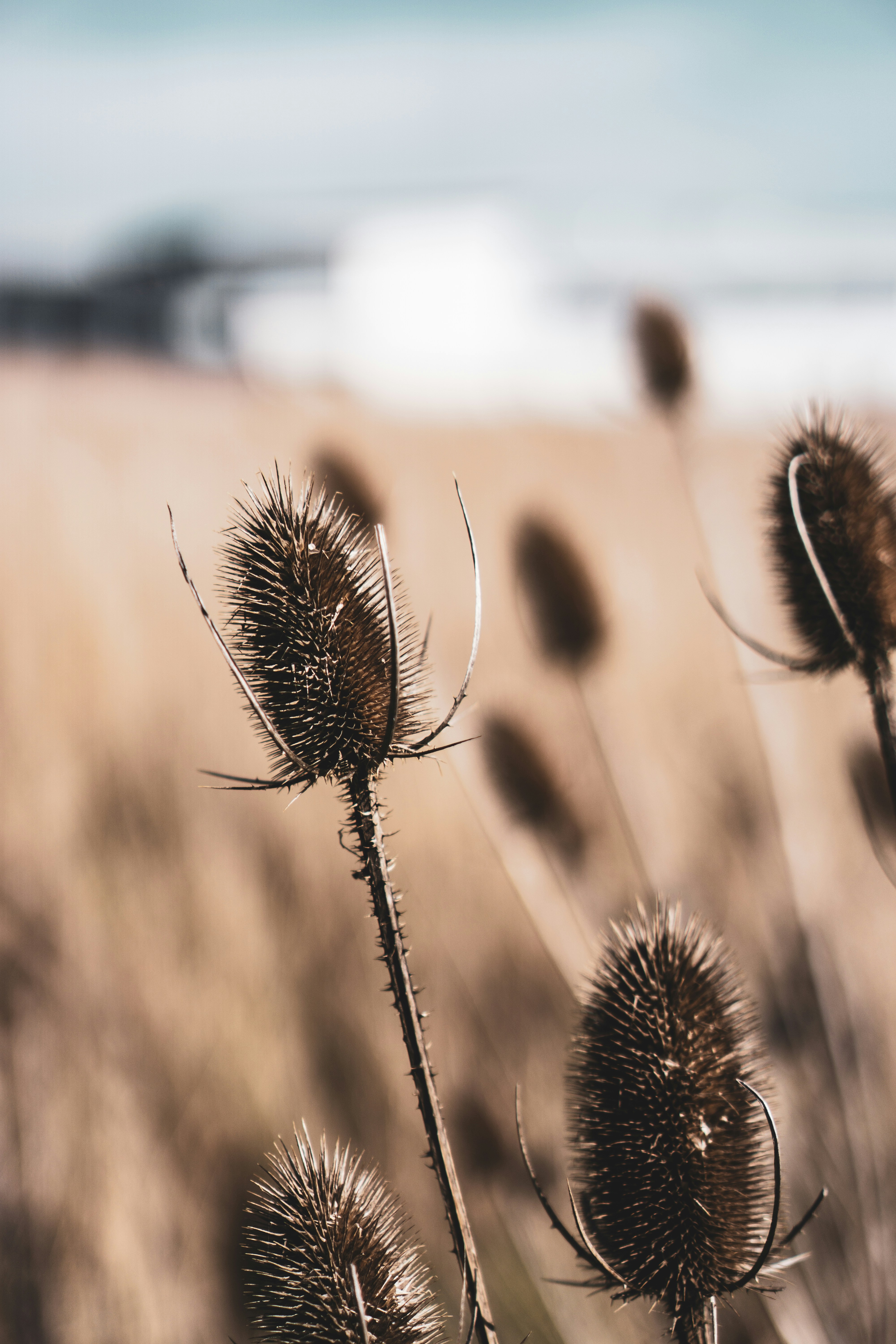 Photo by justusmenke