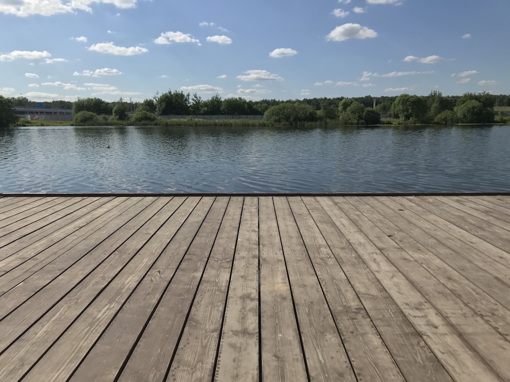 brown wooden dock over green lake during daytime