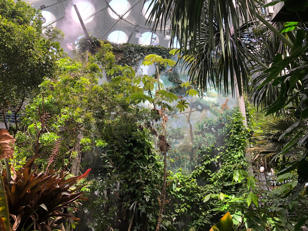 Jungle photo spot California Academy of Sciences Los Gatos