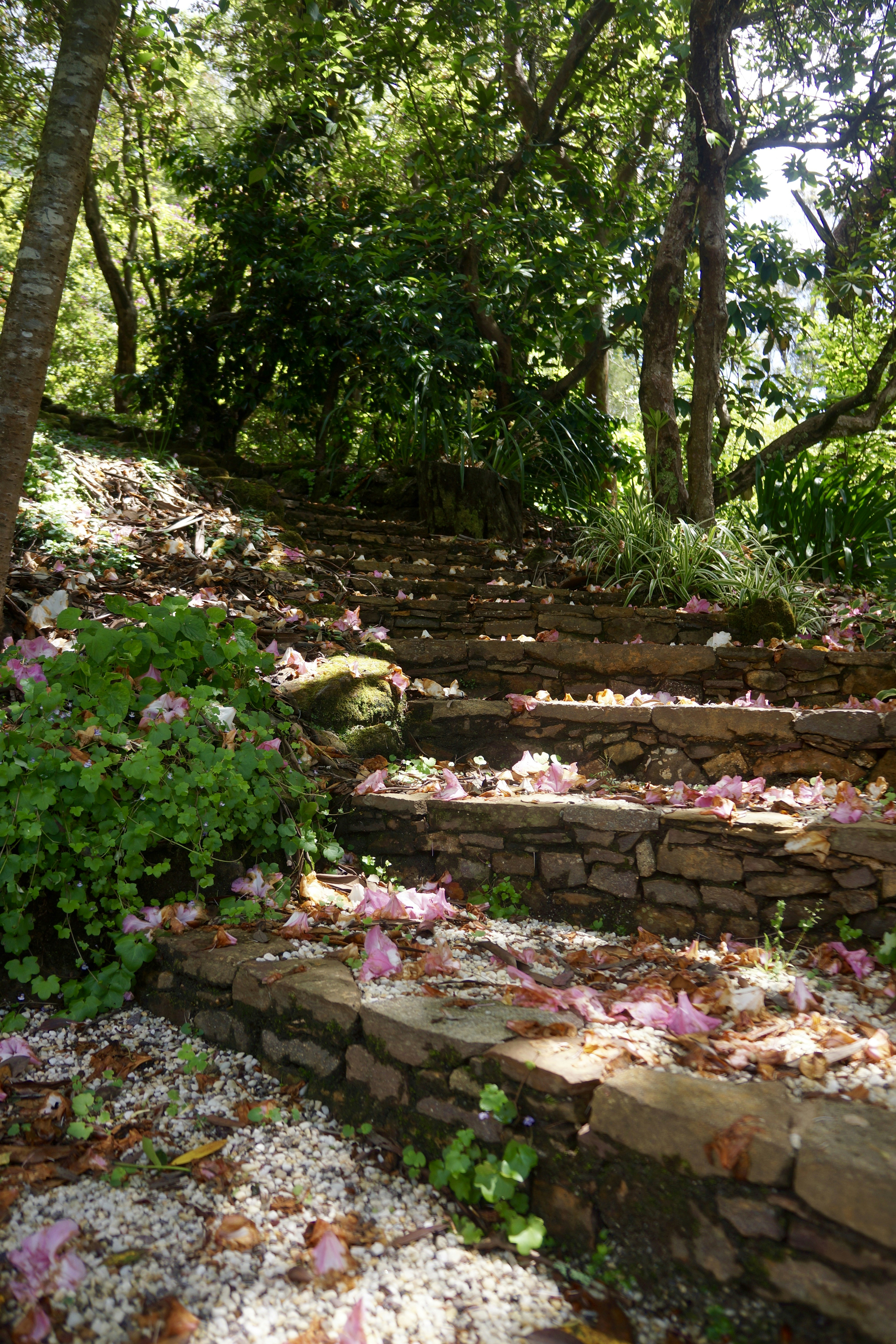 Photo by lorettarosa