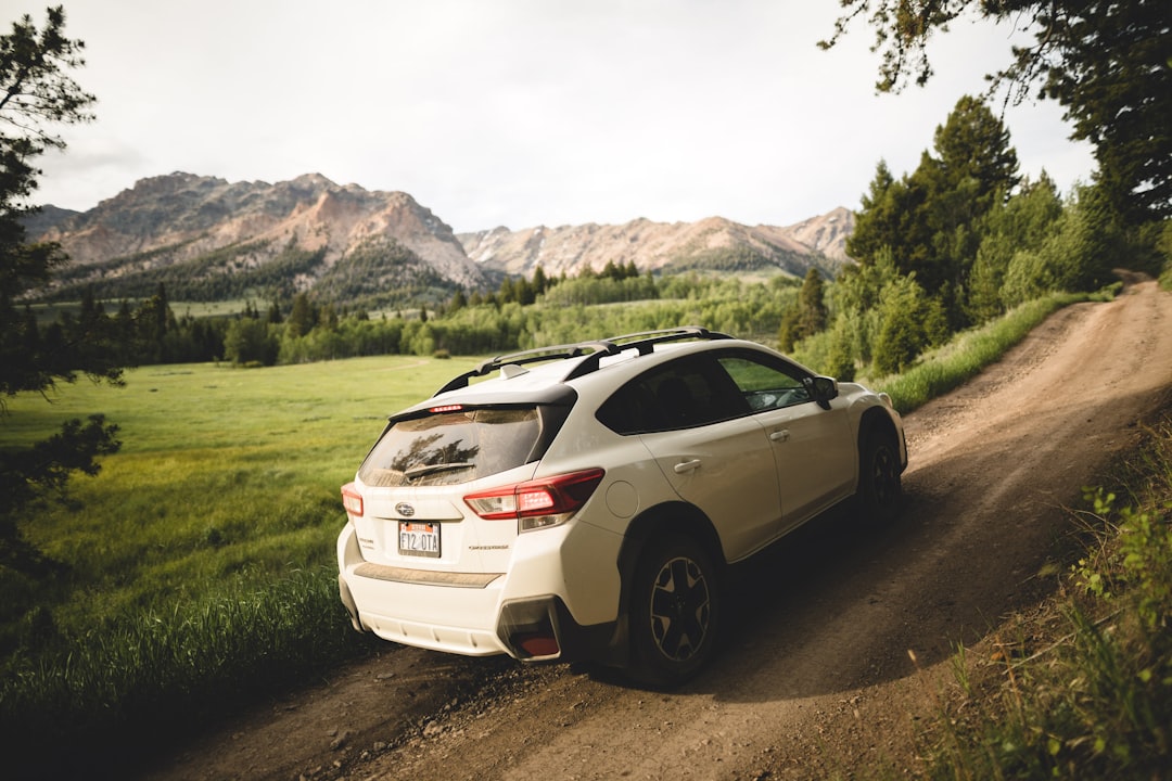 white chevrolet camaro on dirt road during daytime