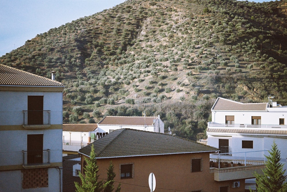 white and brown concrete house near green trees and mountain during daytime