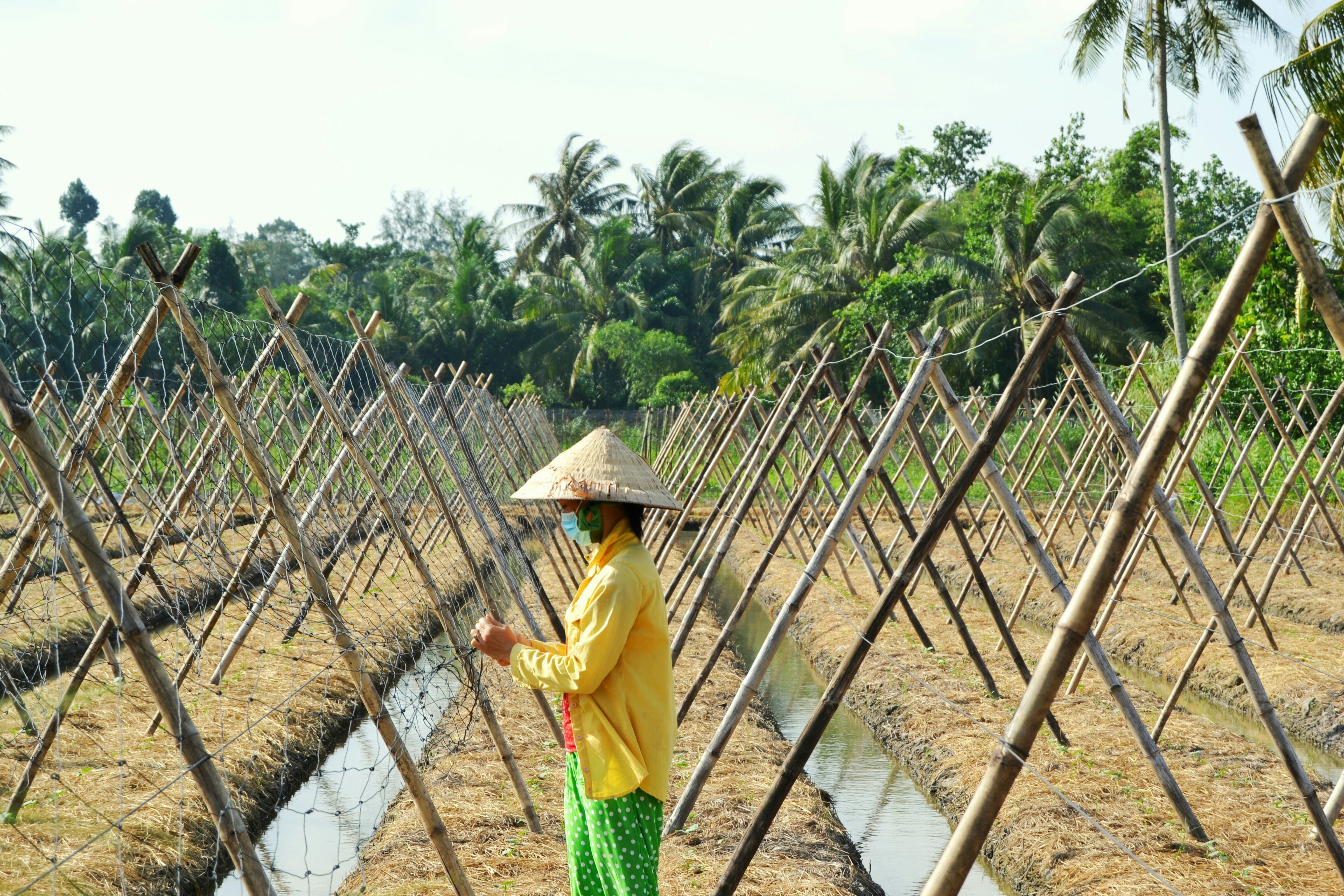 Farmer applying our fertilizer