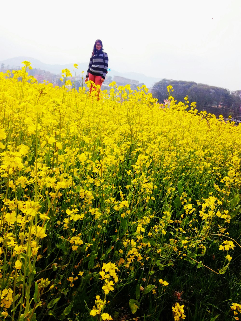 woman in black and white stripe long sleeve shirt standing on yellow flower field during daytime