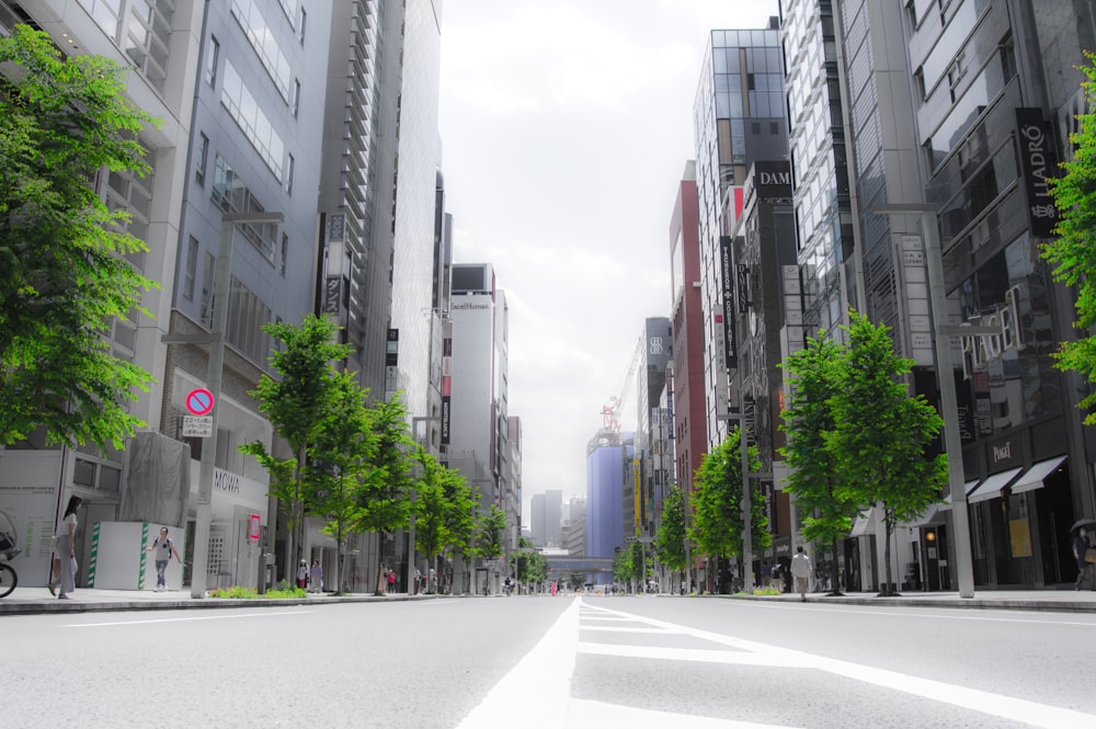 gray concrete road between high rise buildings during daytime