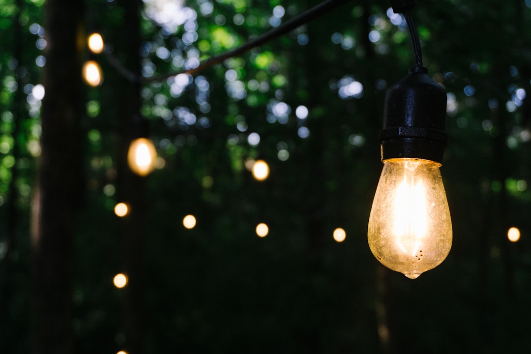 The Guide to Outdoor Lighting in Vancouver