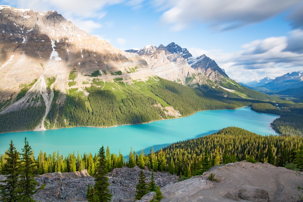 green pine trees near lake and mountain under blue sky during daytime