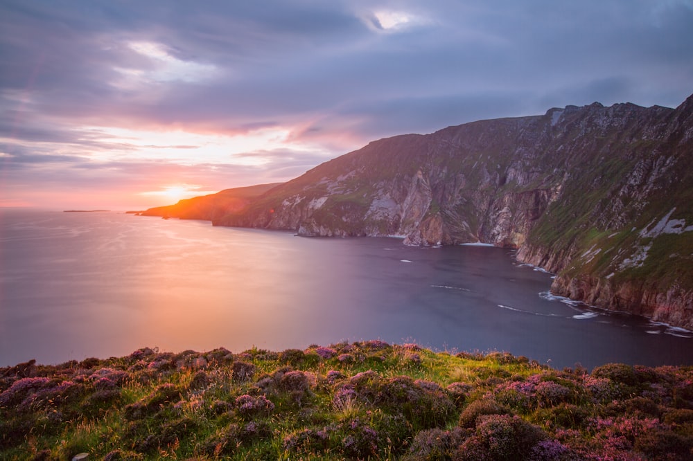 green grass field near body of water during sunset